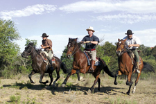 Argentina-Cordoba/Mendoza-Bell Stone Estancias Ride